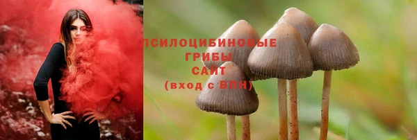 прущая мука Каменногорск