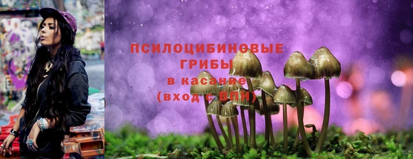 прущая мука Каменногорск