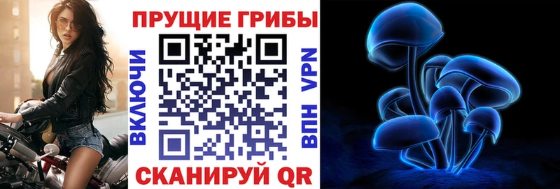 Псилоцибиновые грибы мухоморы  Купить закладки  Балашиха 